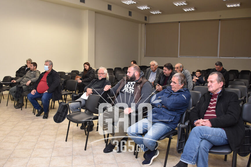 oasi amaliada 2