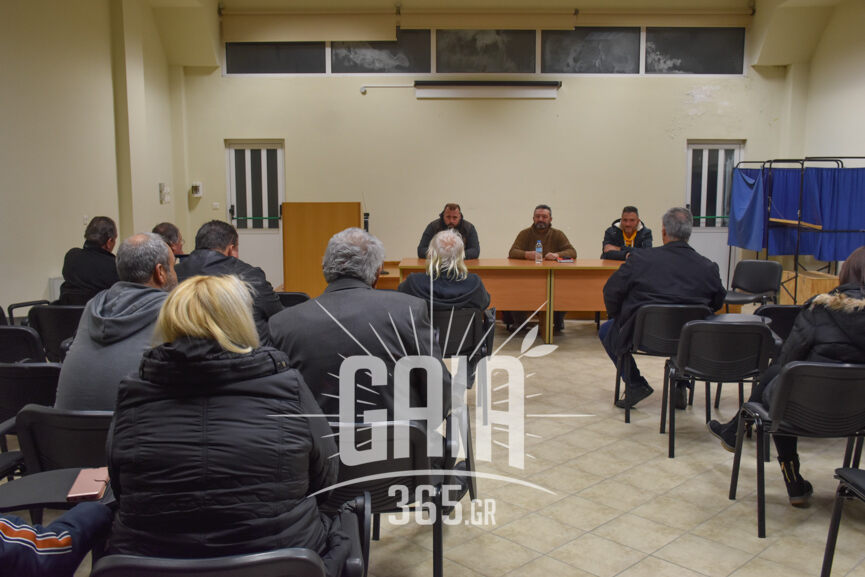 oasi amaliada 3