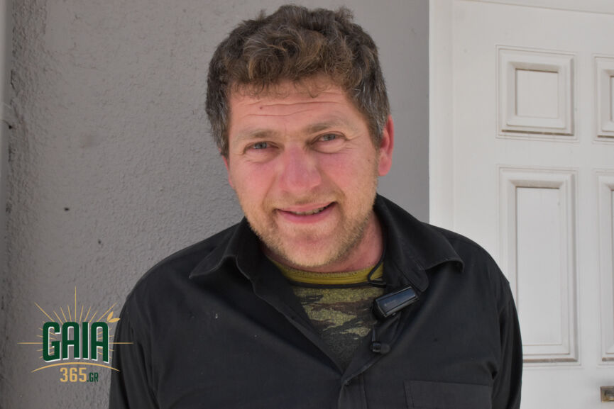 Anagnopoulos