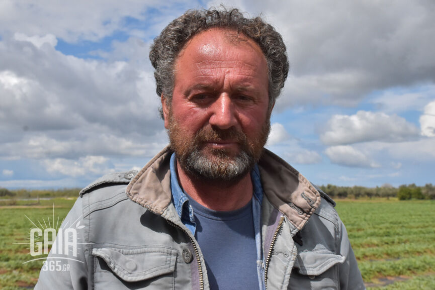 oikonomopoulos