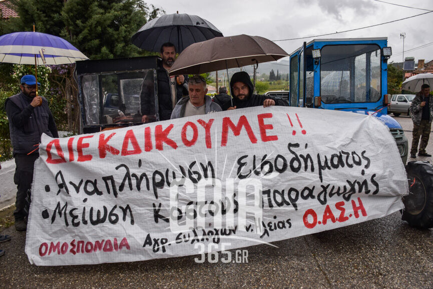 oasi karatoula 2