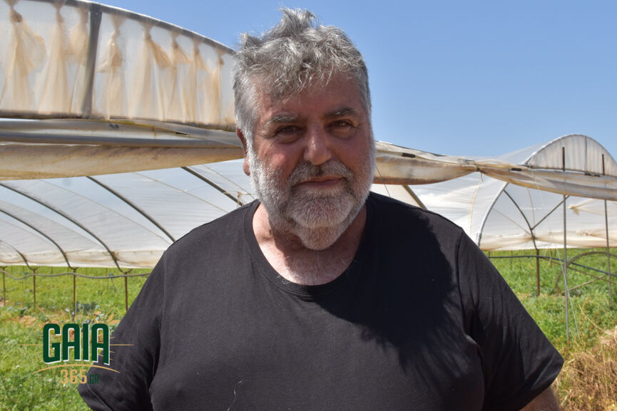Georgopoulos G