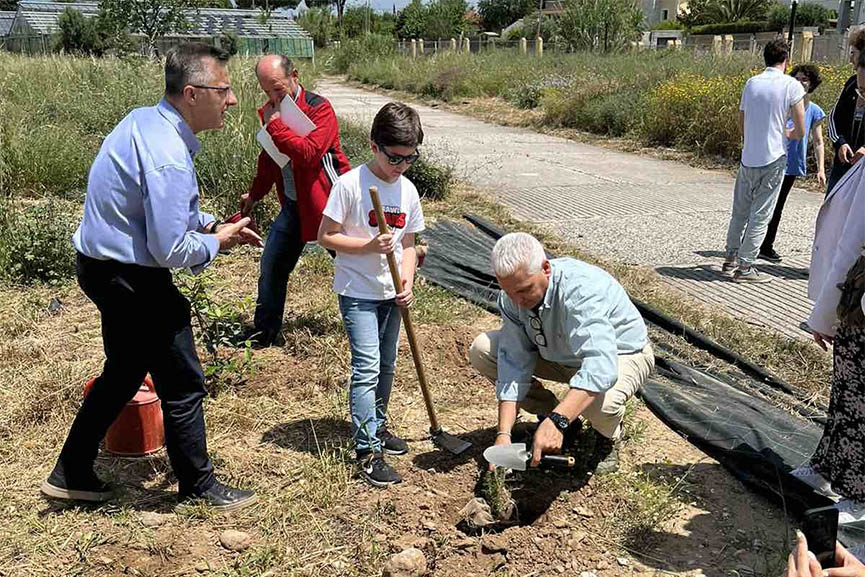 slovenia ellada melissokomia 2
