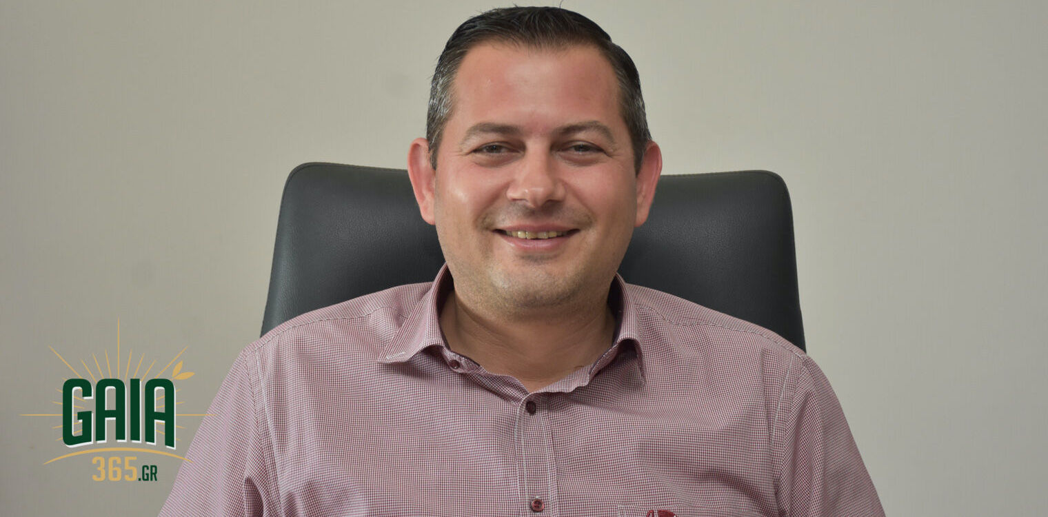 Vasilopoulos