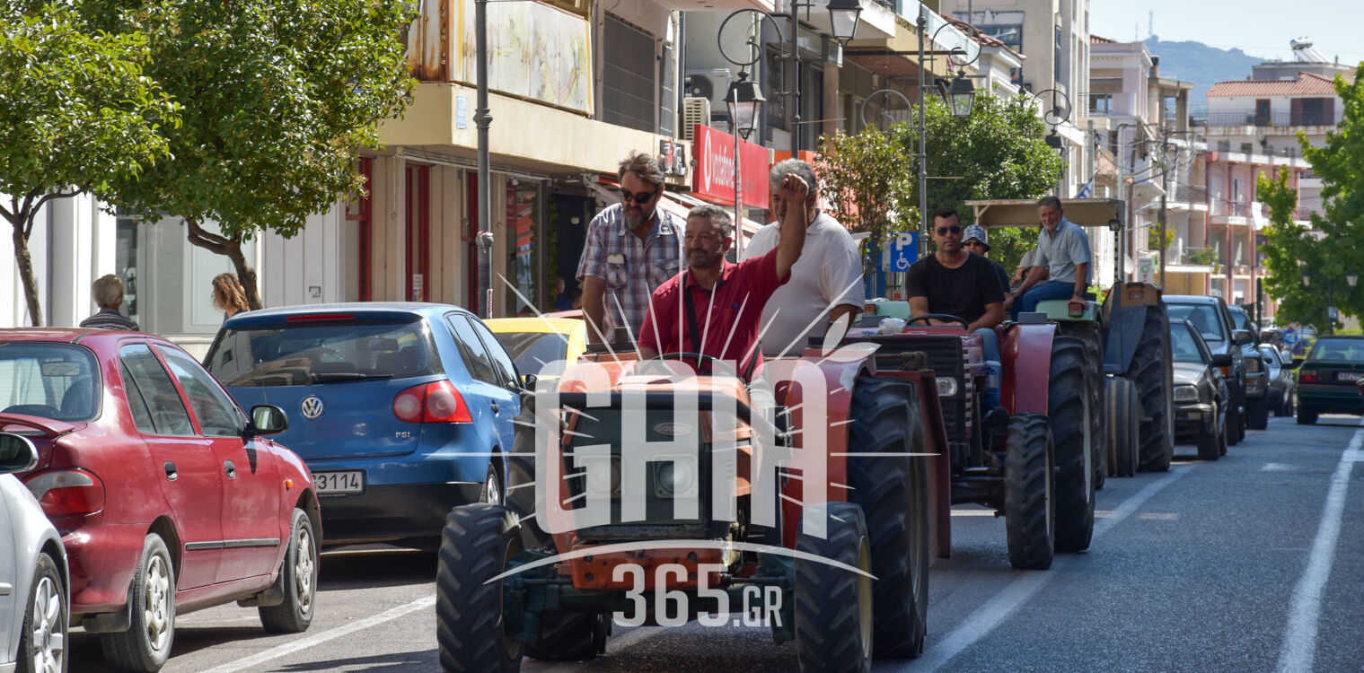 Ηλεία: “Δυστυχώς θα μείνουν ατρύγητα τα χωράφια” - Αποφασισμένοι για κλιμάκωση των κινητοποιήσεων οι σταφιδοπαραγωγοί