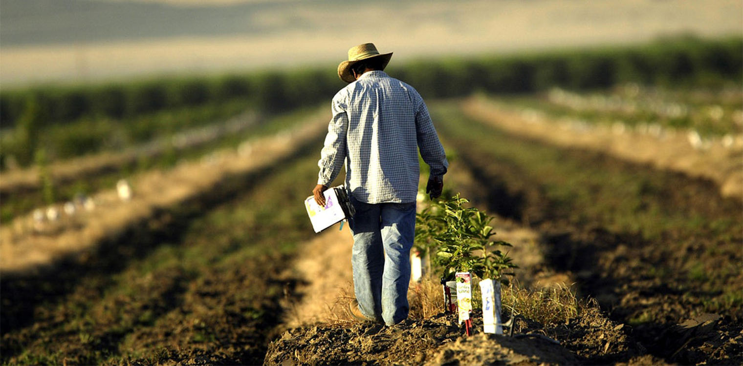 Τροποποίηση των αποφάσεων για ecoschemes, βιολογική γεωργία &amp; κτηνοτροφία