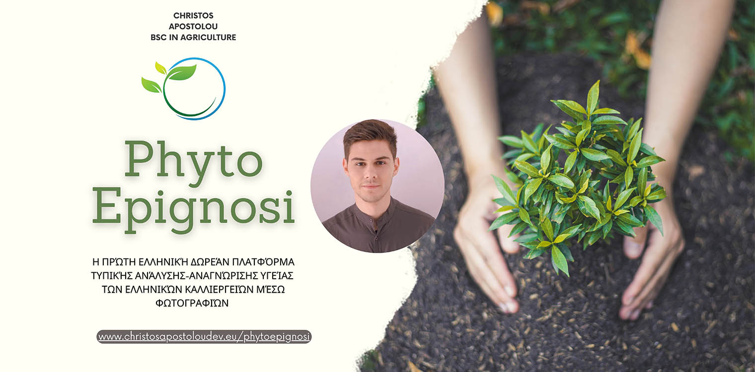 PhytoEpignosi: Η πρώτη Ελληνική δωρεάν πλατφόρμα που οι αγρότες μπορούν να ελέγξουν την τυπική υγεία των καλλιεργειών τους!
