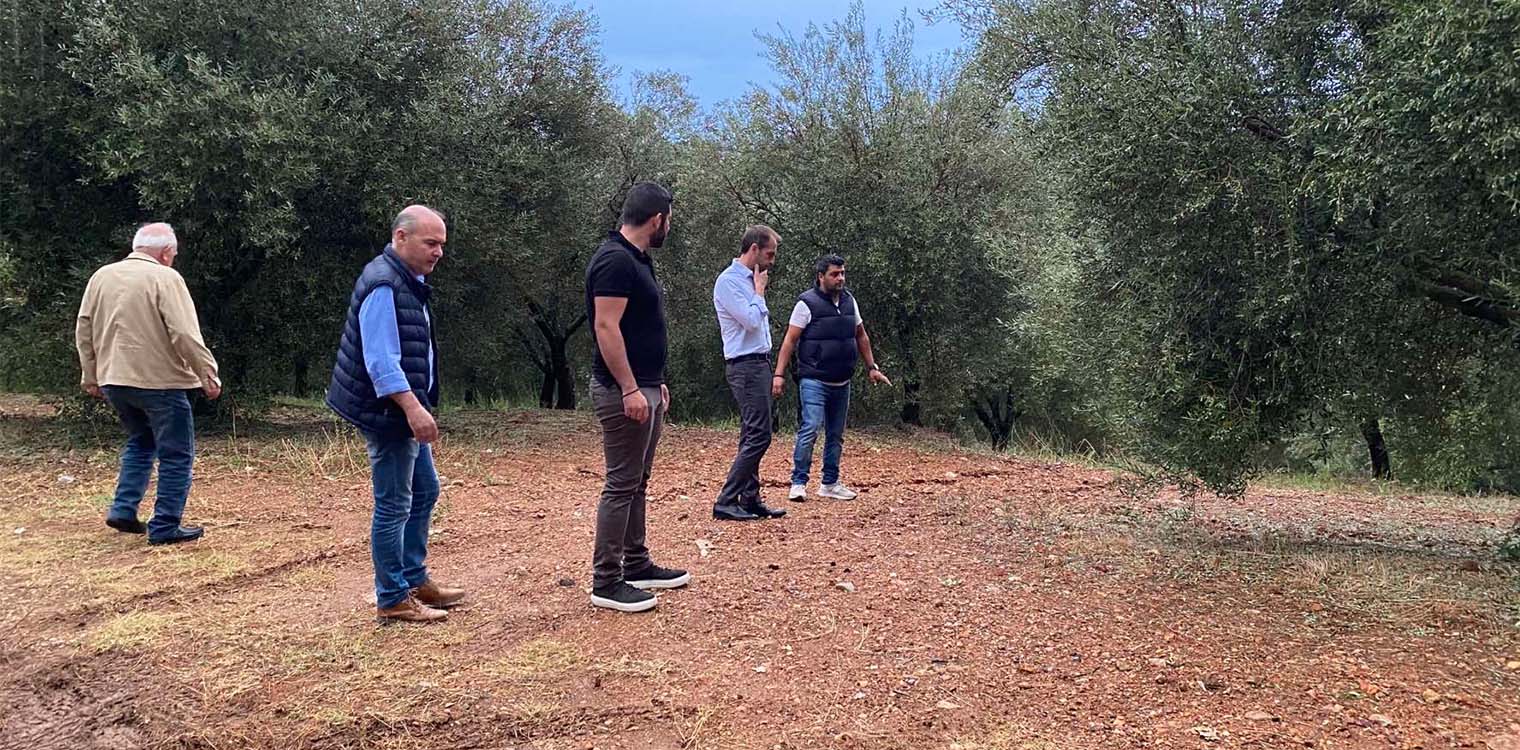 Δίπλα στους πληγέντες ελαιοπαραγωγούς ο επικεφαλής και στελέχη της παράταξης «ΔΕΟΝ-ΟΛΥΜΠΙΑ ΠΡΩΤΟΣ ΔΗΜΟΣ»