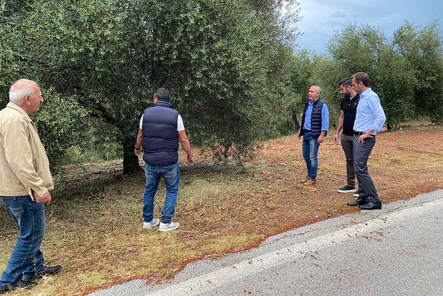 aris panagiot elga olimpia 2