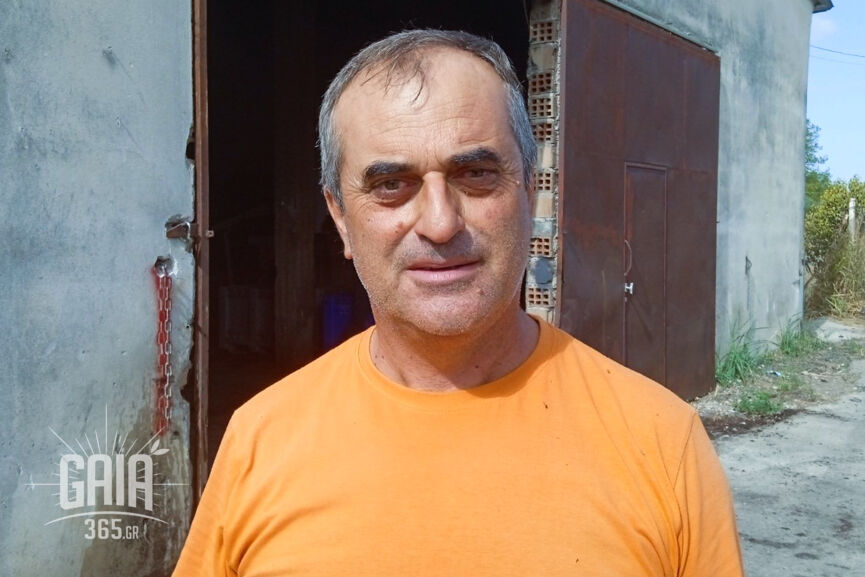Stafida xavari 5