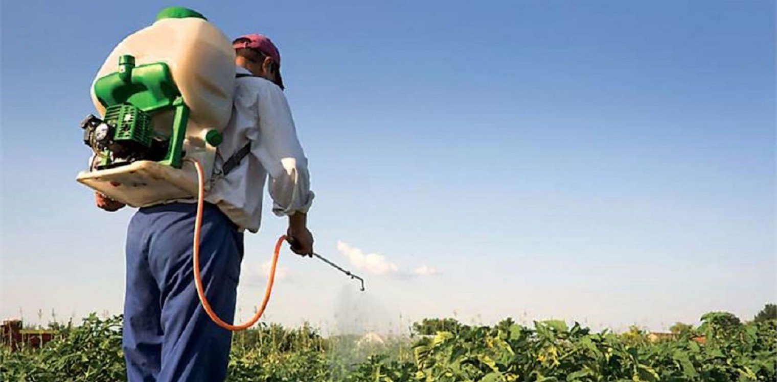 ΕΕ: Ένα βήμα πιο κοντά στη δραστική μείωση της χρήσης χημικών φυτοφαρμάκων
