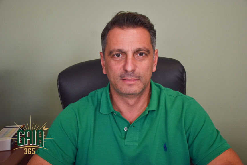 Mikeoglou 1