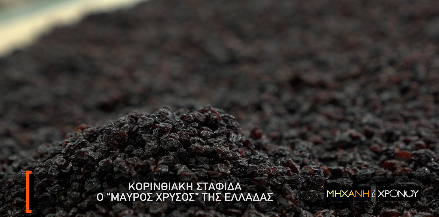 Η ιστορία της σταφίδας στη Μηχανή του Χρόνου