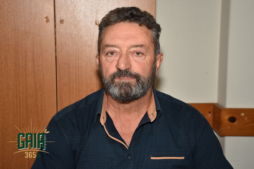oasi 2