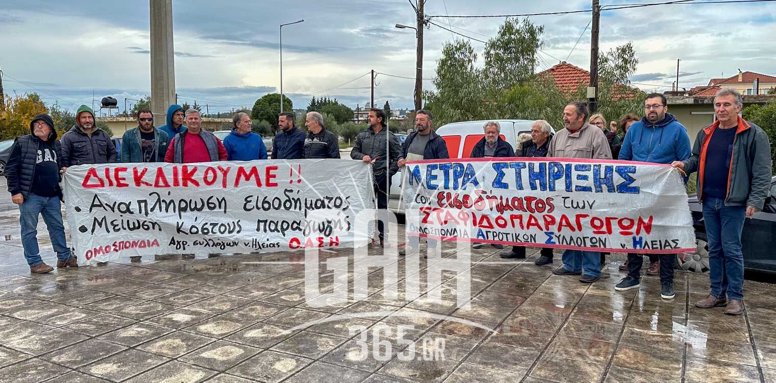 Αγώνας επιβίωσης για τους αγρότες της Ηλείας - Στους δρόμους ξανά ζητούν στήριξη από ΕΛΓΑ και Κυβέρνηση