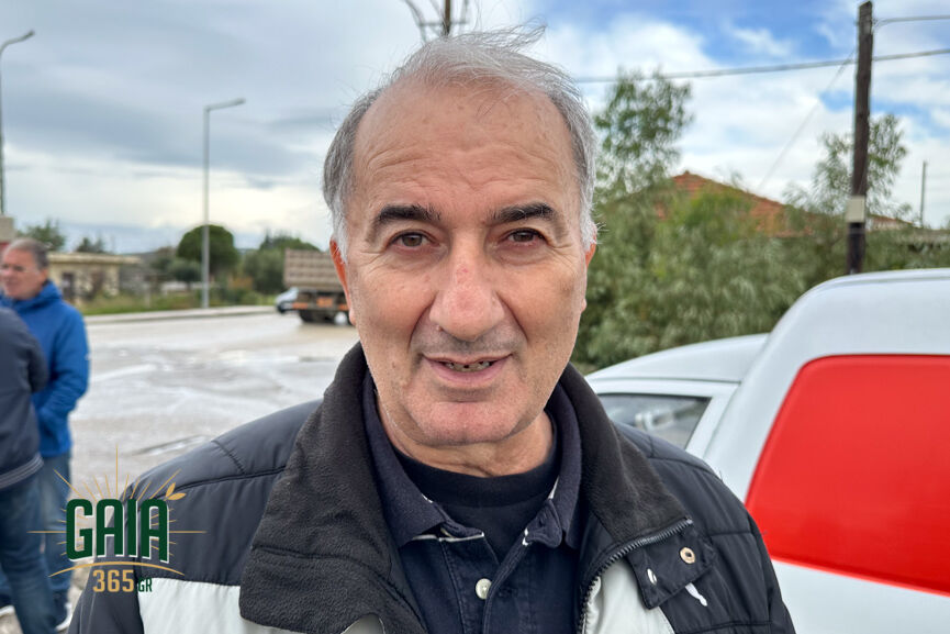 oasi komvos 6