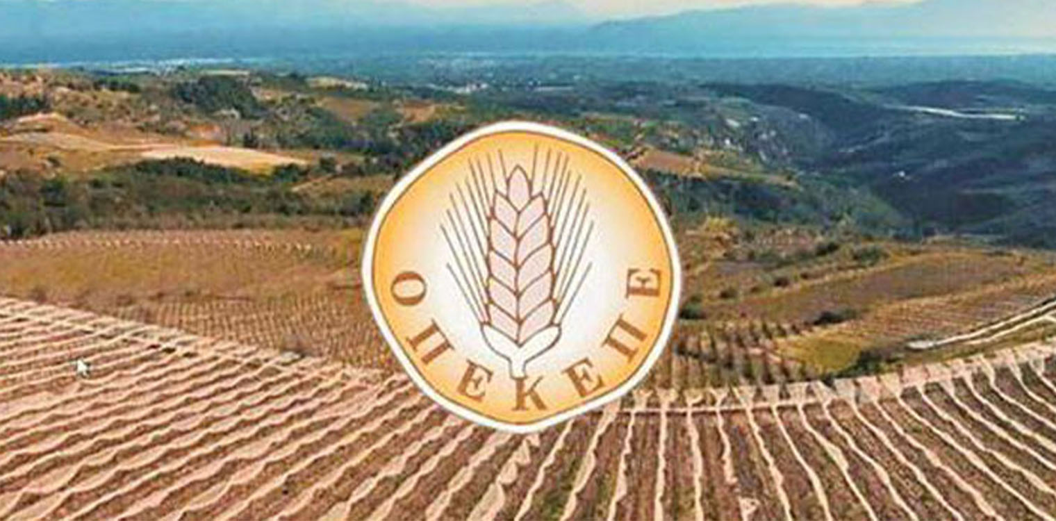 ΟΠΕΚΕΠΕ: Ξεκίνησαν οι αιτήσεις για διορθώσεις – τροποποιήσεις Ενιαίας Ενίσχυσης 2023