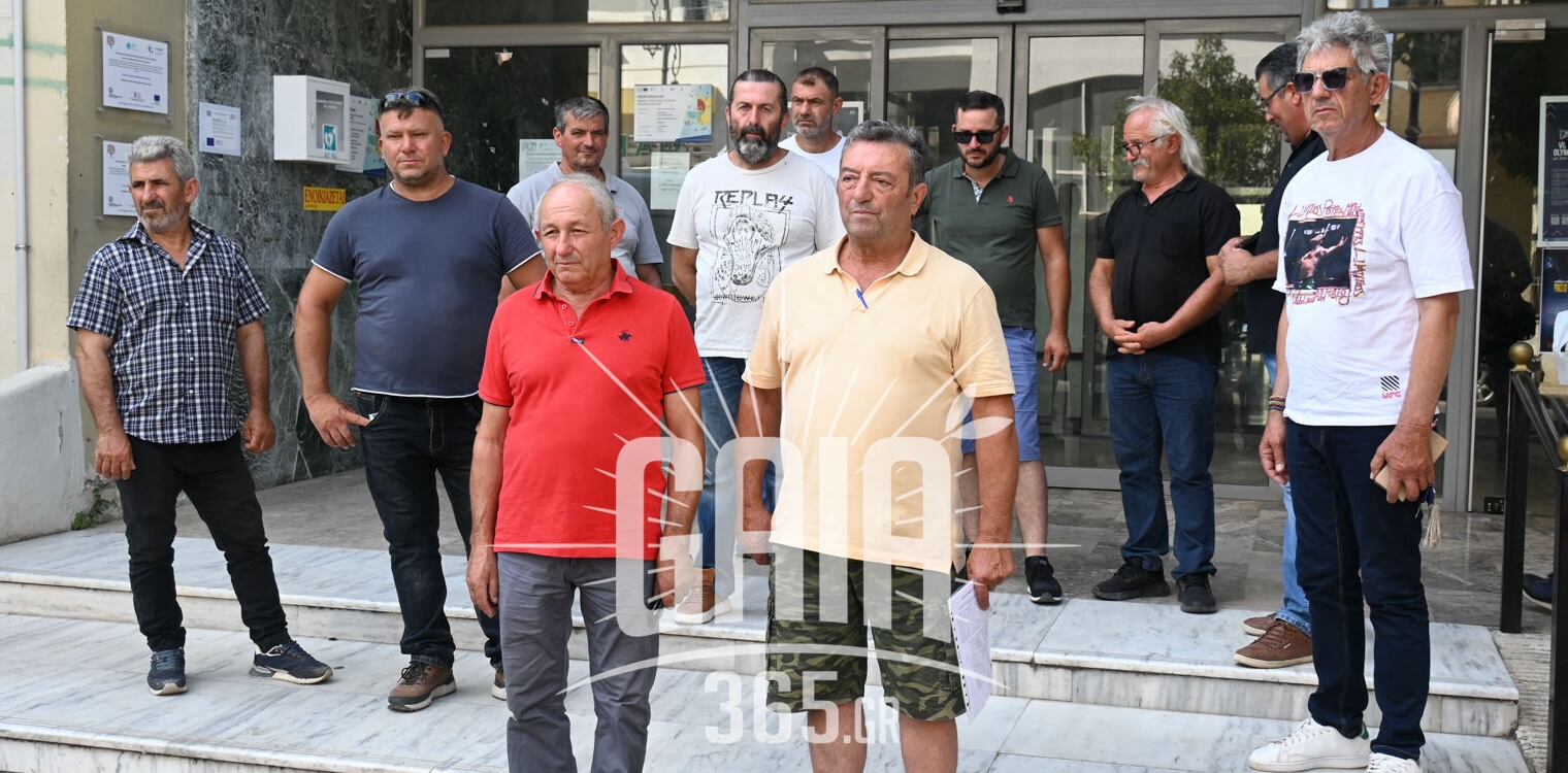 Ηλεία: Κραυγή βοήθειας από τους πυρόπληκτους αγροκτηνοτρόφους – “Δεν έχουμε να ταΐσουμε τα ζώα μας”