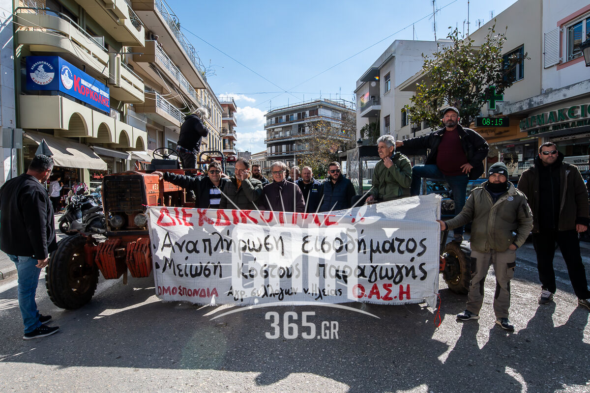 Agrotes OASI 2