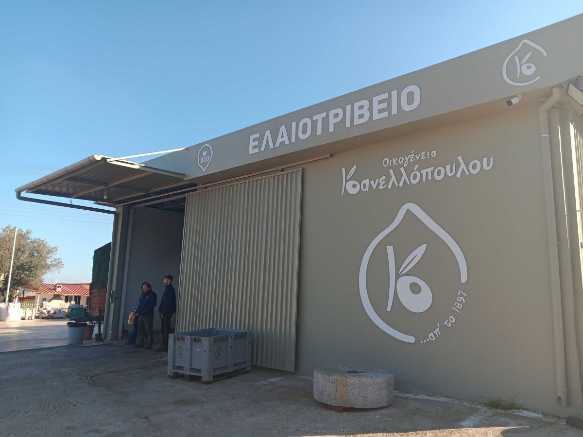 elaiotriveio kanelopoulou 2