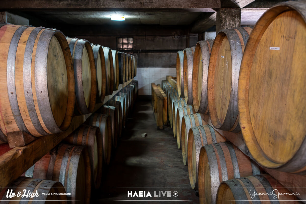 Anoixtes Portes Merkouri 14