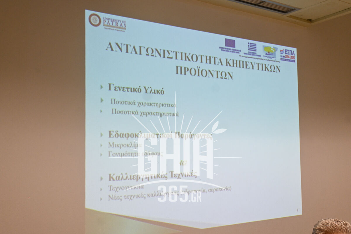 Kolokithia 5