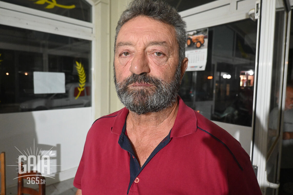 OASI Kardamas 3