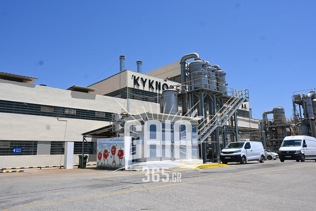 Kuknos egkainia 13