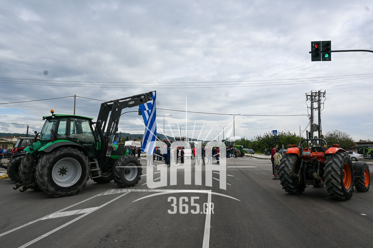 OASI Mploko 10
