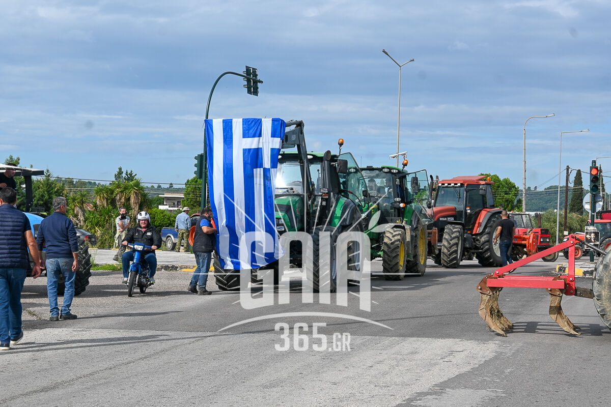 OASI Mploko 11