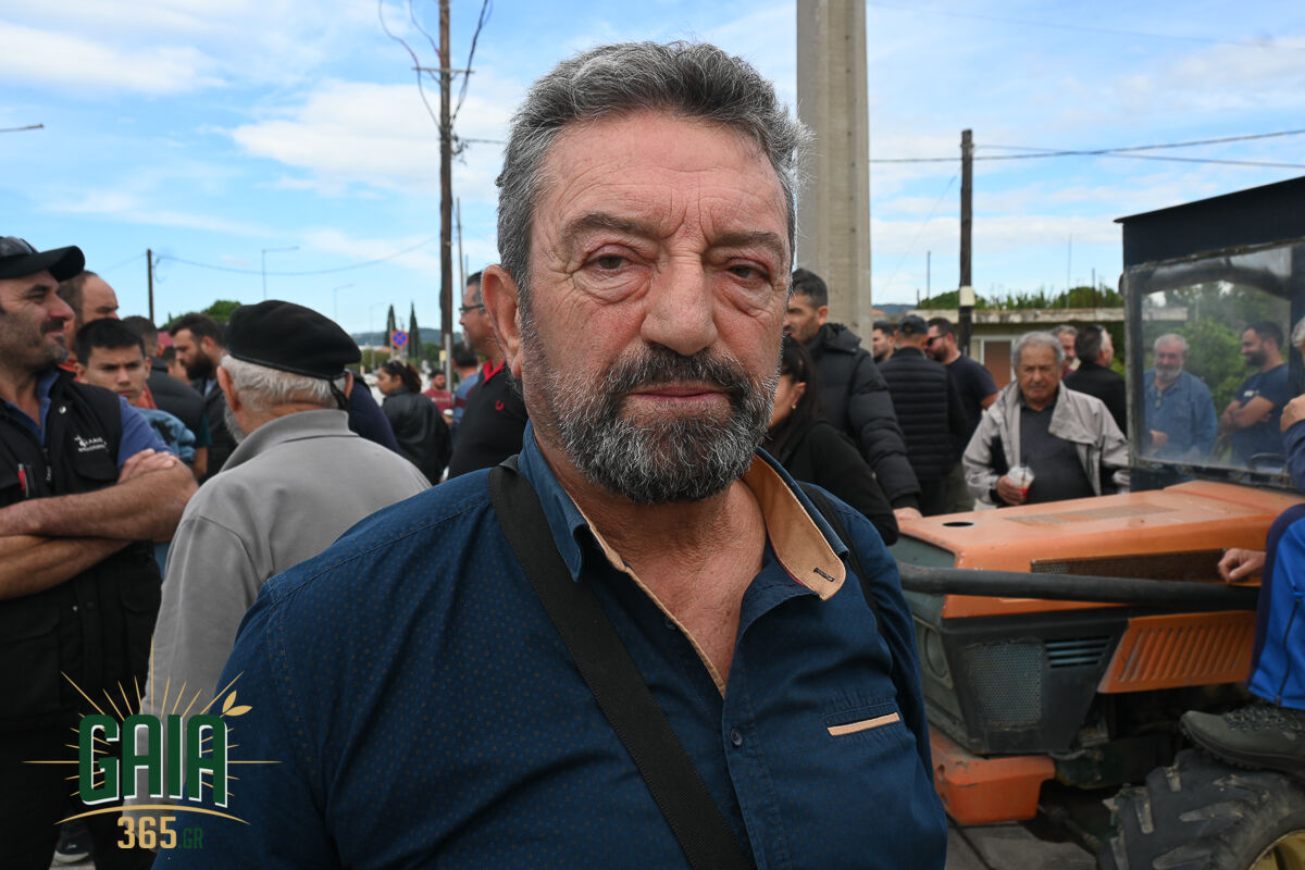 OASI Mploko 18