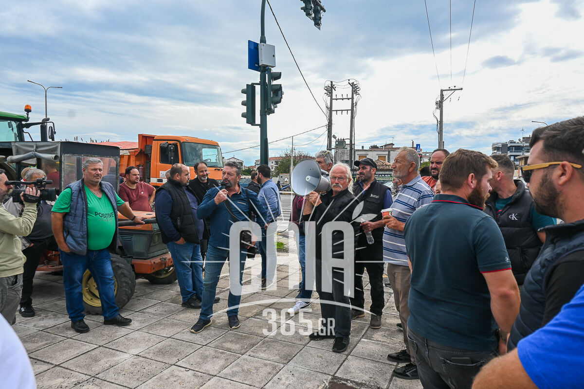 OASI Mploko 4