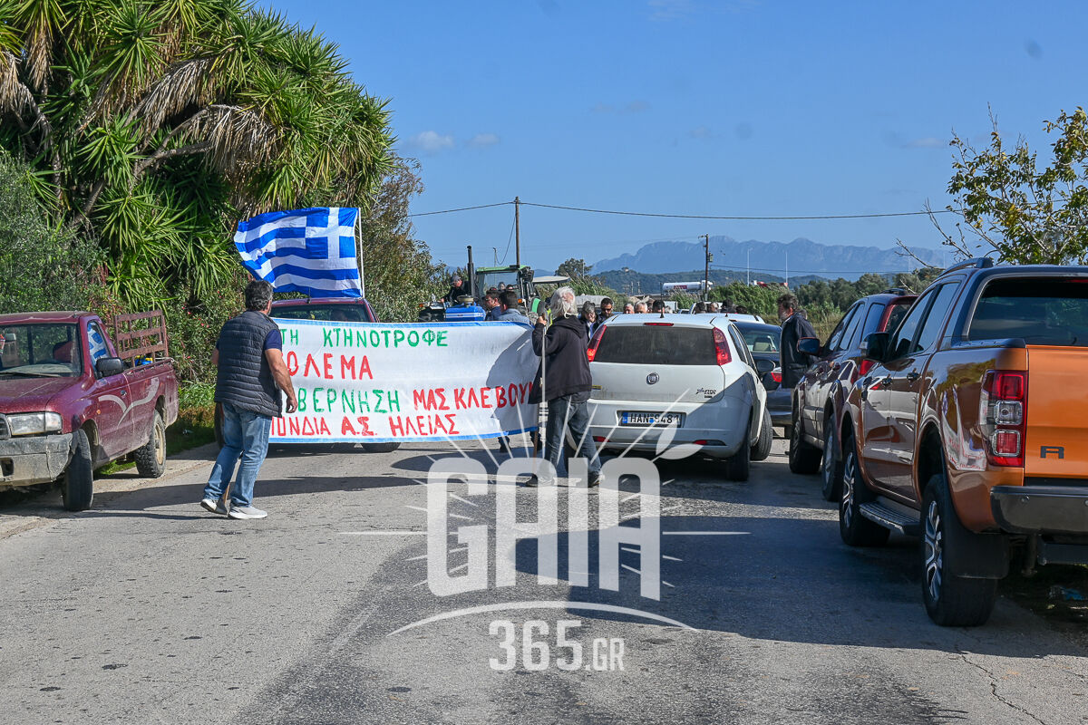 Agrotes Roupaki 2