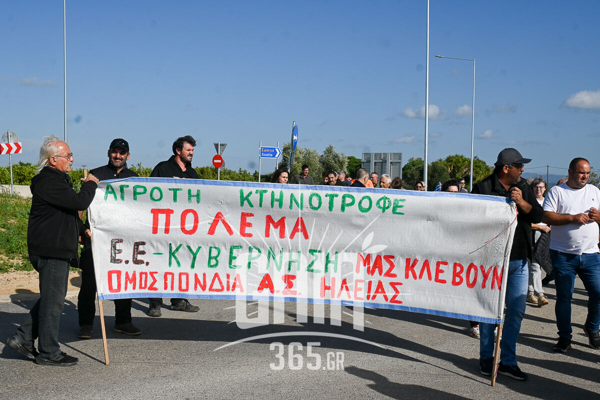 Agrotes Roupaki 4