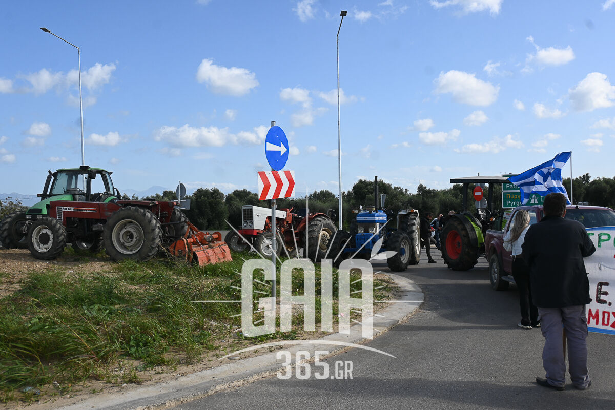 Agrotes Roupaki 6