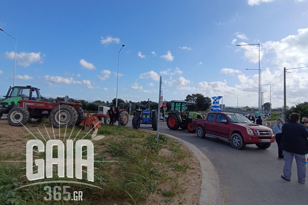 agrotes roupaki 1