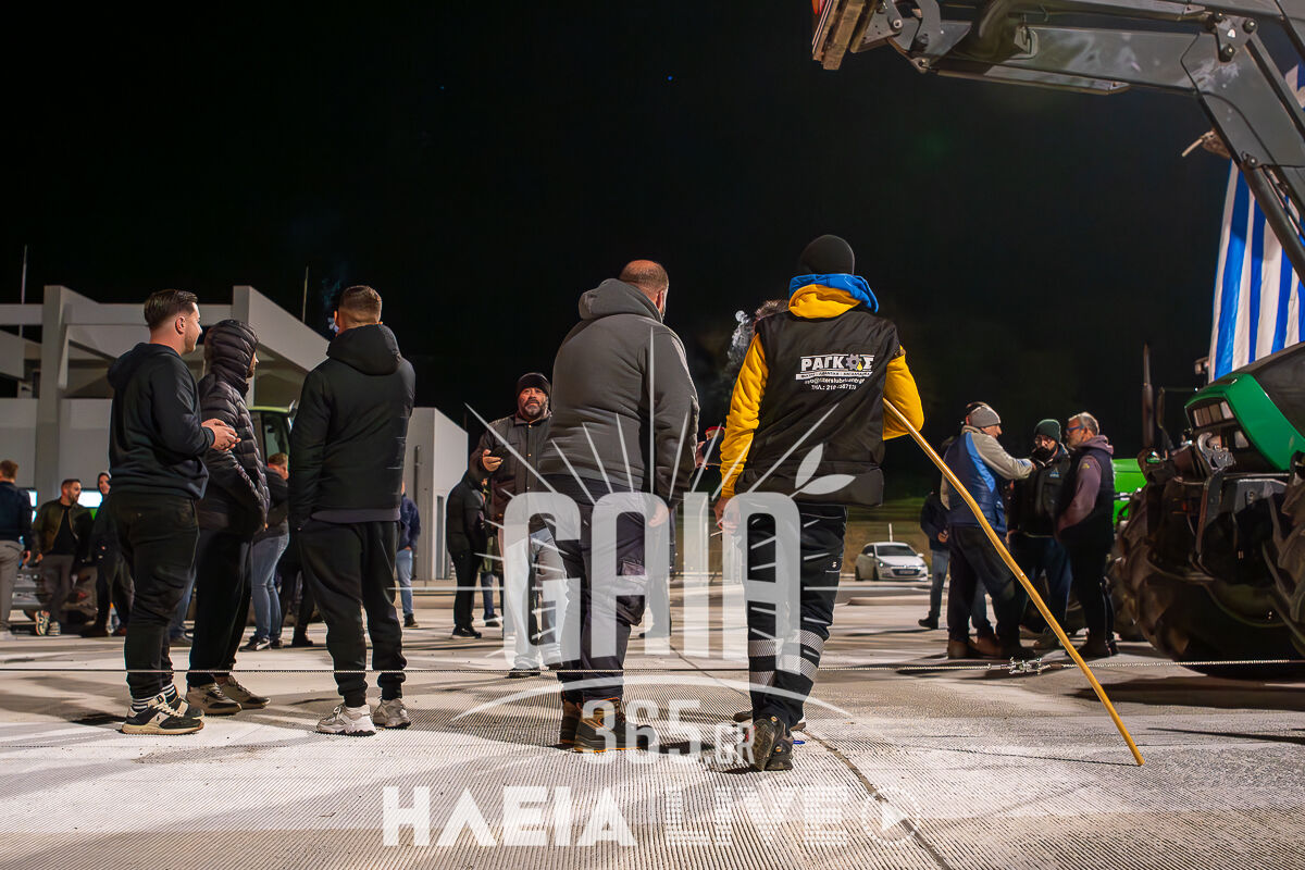 Agrotes Diodia nixta2 9