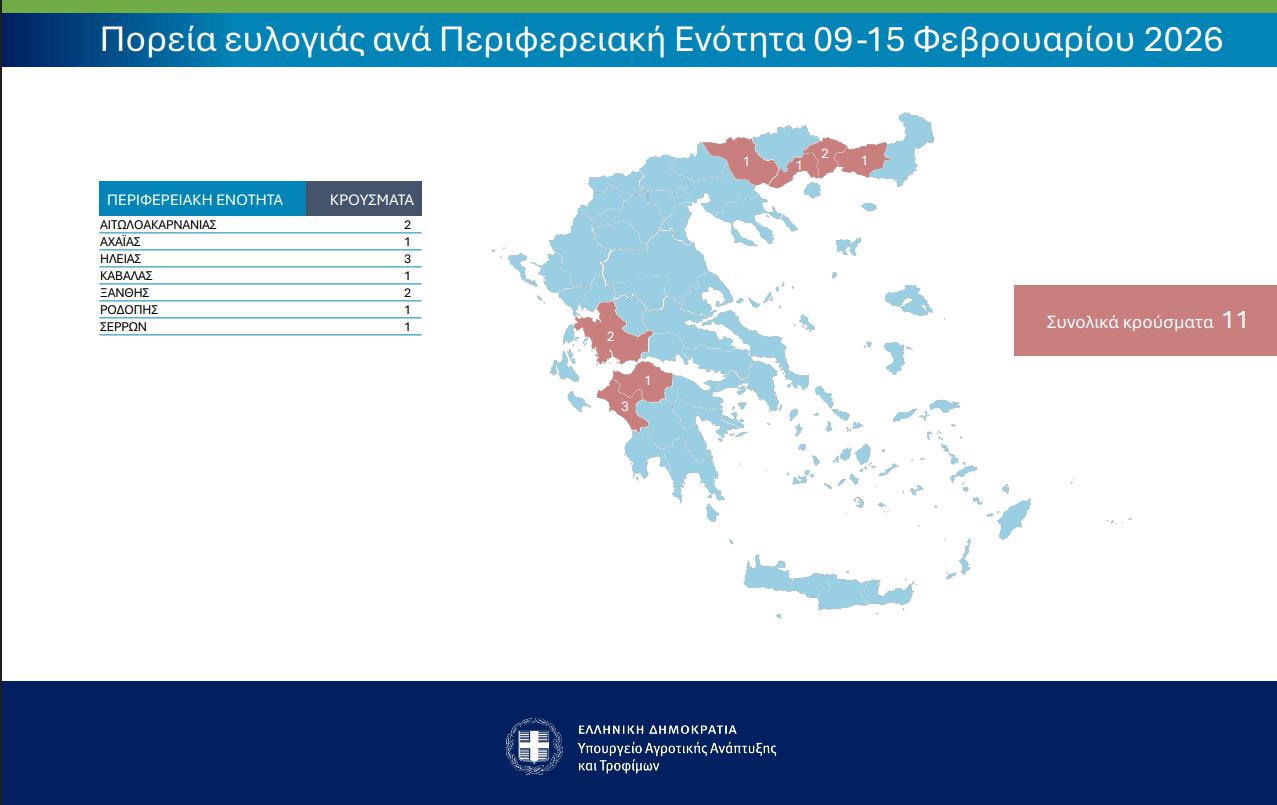 eulogia enim 3