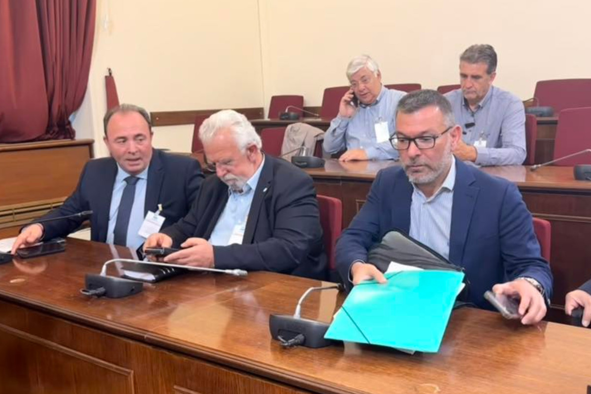 Filias vouli 2