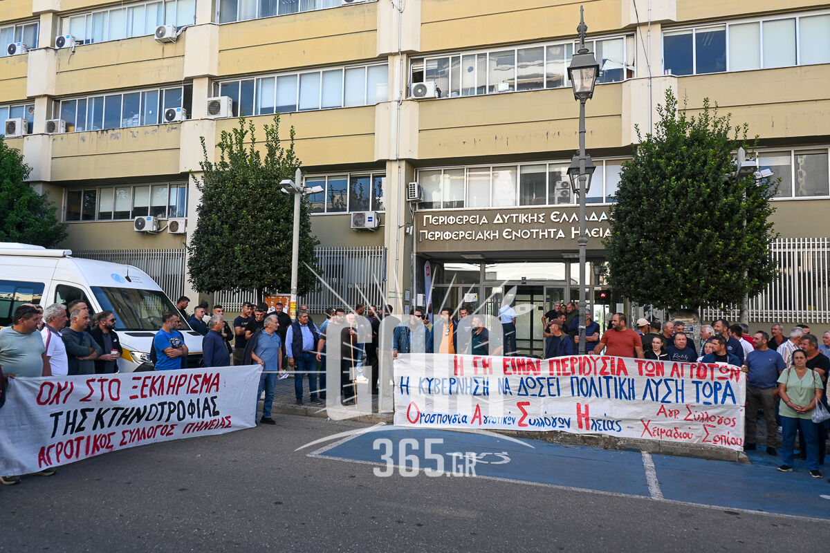 Ktinotrofoi 6