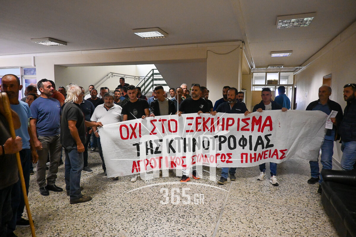 Ktinotrofoi 8