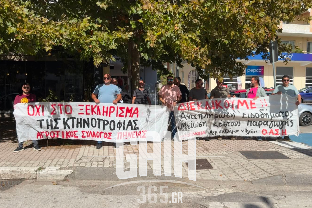oasi kinitopoiisi 5
