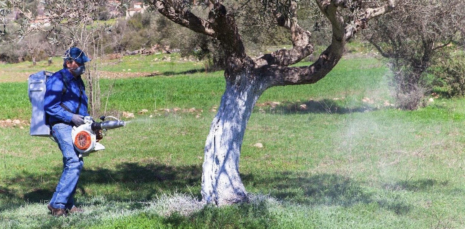 ΔΑΟΚ Ηλείας: Έναρξη δολωματικού ψεκασμού, με την προϋπόθεση των κατάλληλων καιρικών