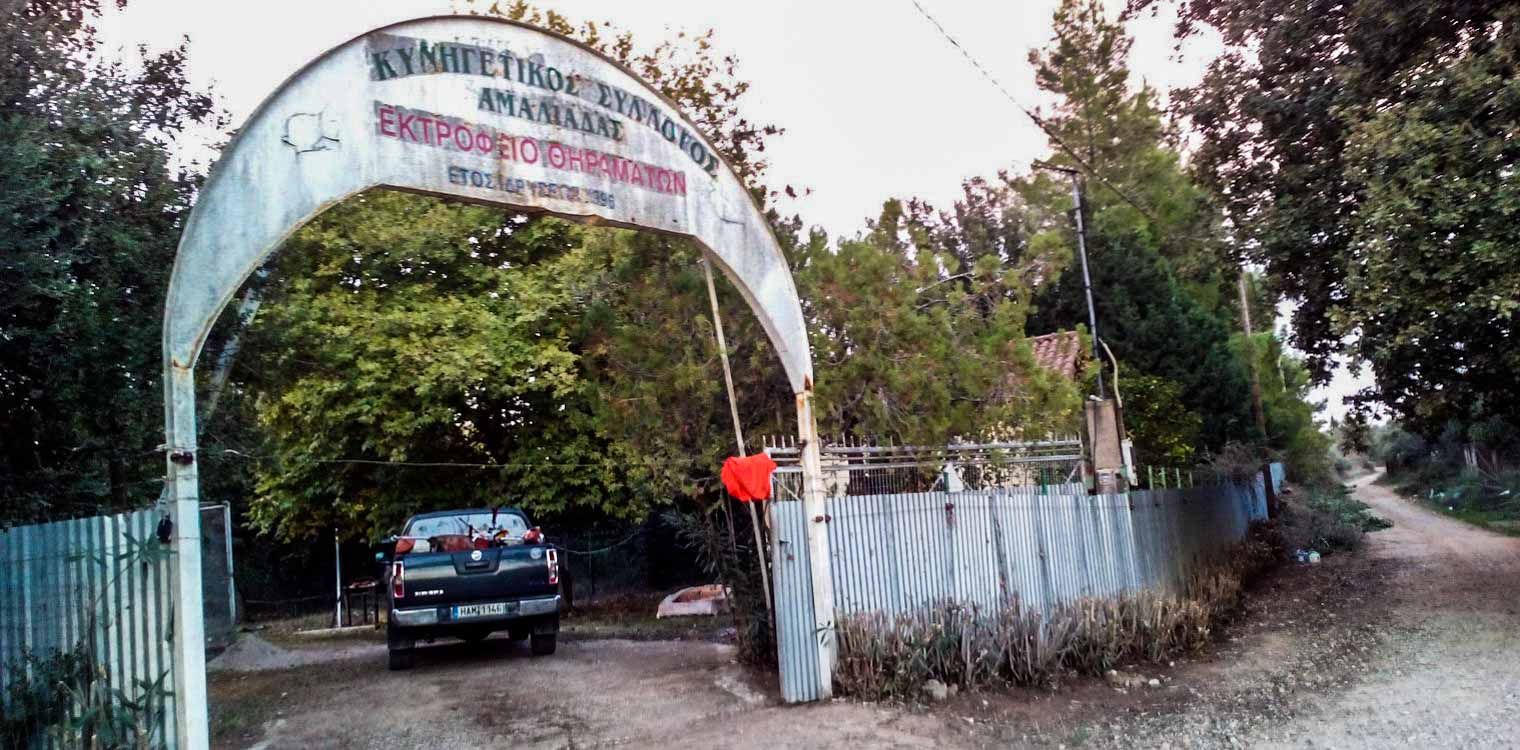 Αμαλιάδα: Έτοιμο να λειτουργήσει ξανά το Λαγοτροφείο του Κυνηγετκού Συλλόγου