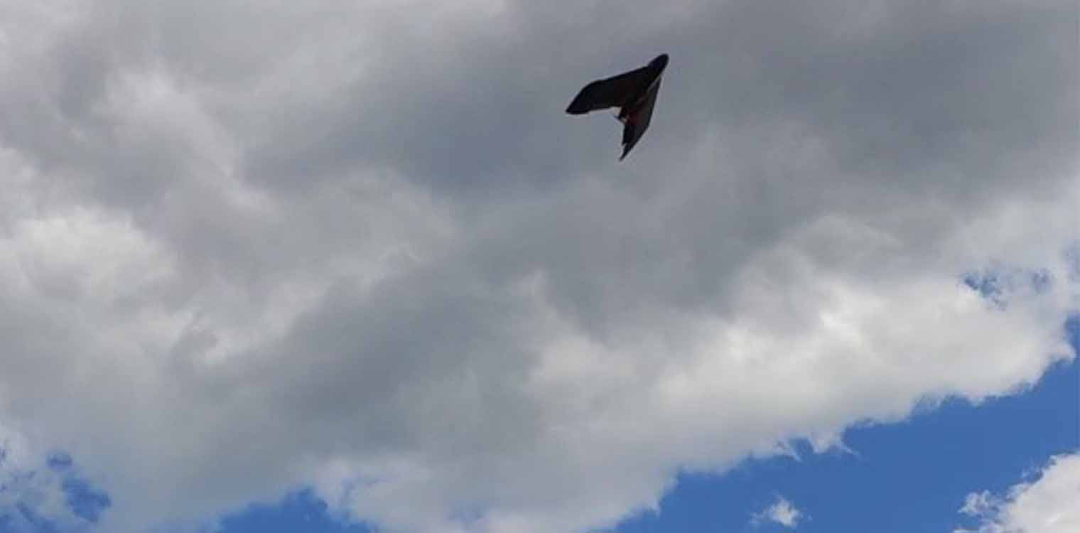 Κοζάνη: Καλλιέργεια ακριβείας με drone πάνω από τα κροκοχώραφα