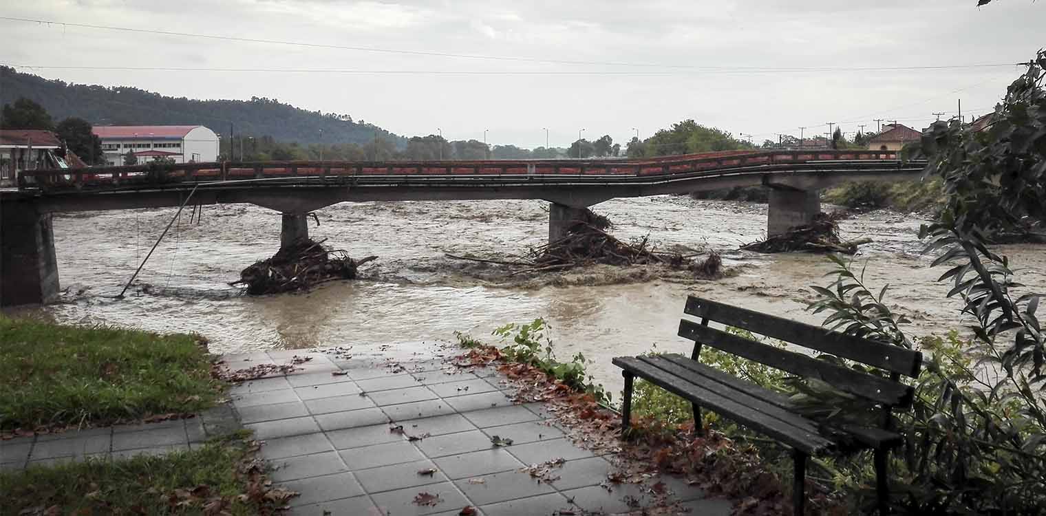 Πρόβλημα με την περισυλλογή των νεκρών ζώων στη Θεσσαλία
