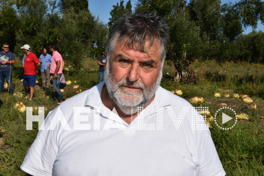 georgiopoulos