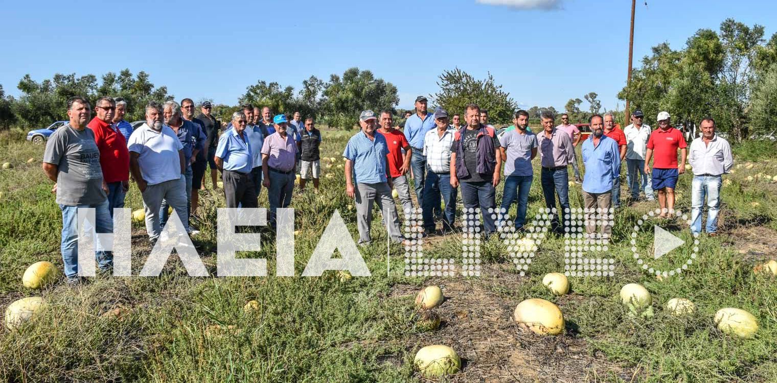 Λάθος στρέμματα και στα πρώιμα καρπούζια για τις κορονοενισχύσεις, τι ζητούν οι αγρότες