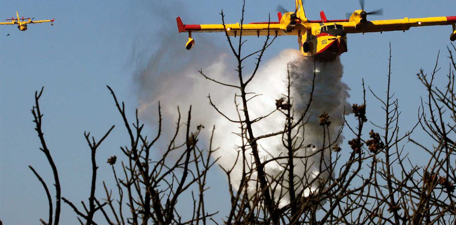 Γεωργιόπουλος καλεί ΕΛΓΑ για εκτιμήσεις ζημιών σε πυρόπληκτες περιοχές