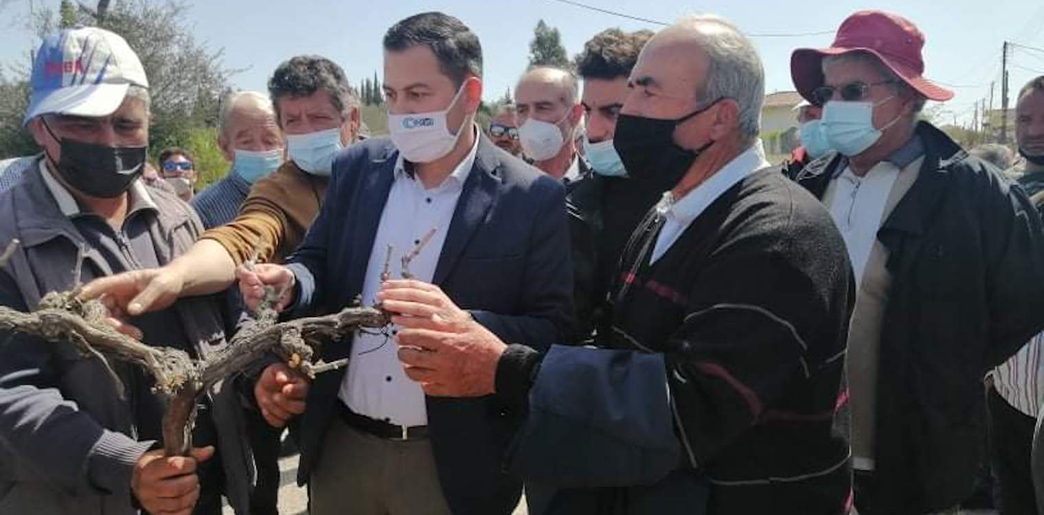 Πιέζει ο Θ. Βασιλόπουλος τη διοίκηση του ΕΛΓΑ για τις ζημιές του παγετού